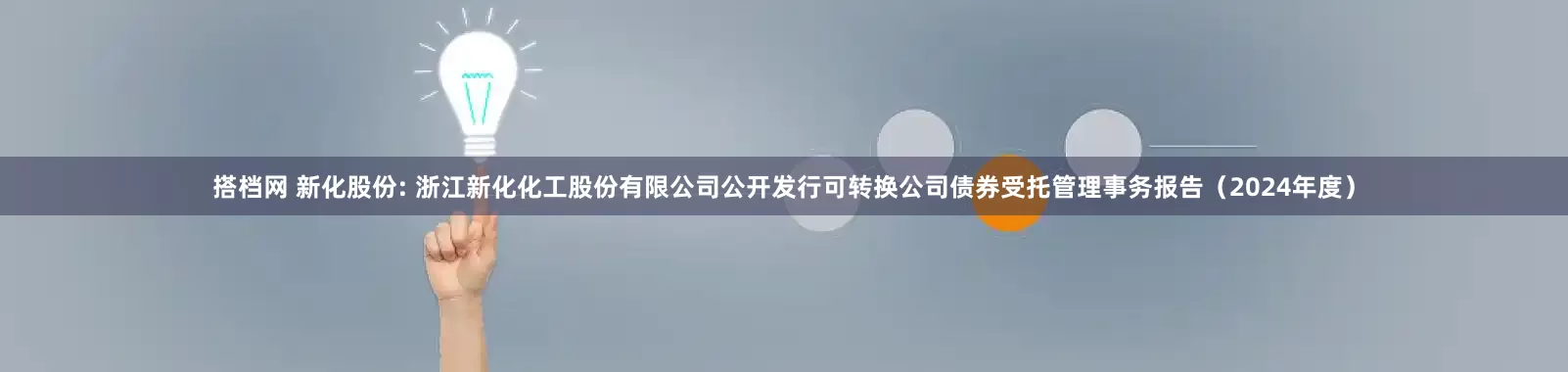 搭档网 新化股份: 浙江新化化工股份有限公司公开发行可转换公司债券受托管理事务报告(2024年度)
