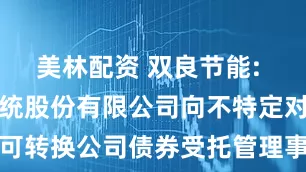 美林配资 双良节能: 双良节能系统股份有限公司向不特定对象发行可转换公司债券受托管理事务报告(2024年度)