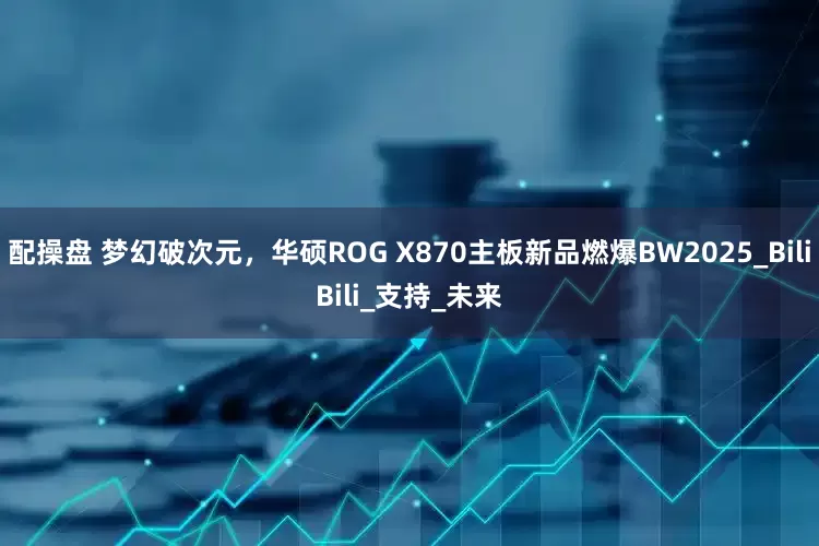配操盘 梦幻破次元，华硕ROG X870主板新品燃爆BW2025_BiliBili_支持_未来