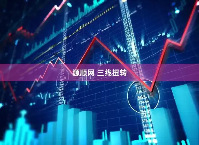 源顺网 三线扭转