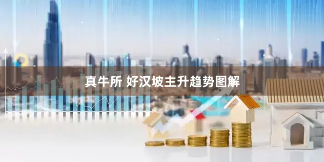 真牛所 好汉坡主升趋势图解
