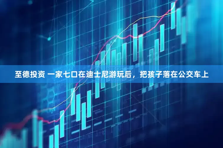 至德投资 一家七口在迪士尼游玩后，把孩子落在公交车上
