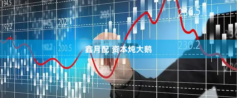 鑫月配 资本炖大鹅