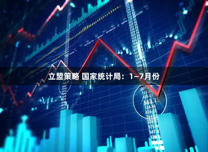 立盟策略 国家统计局：1—7月份